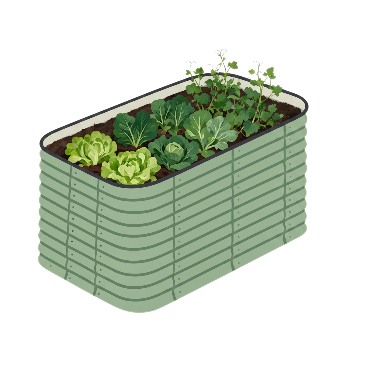 6x3