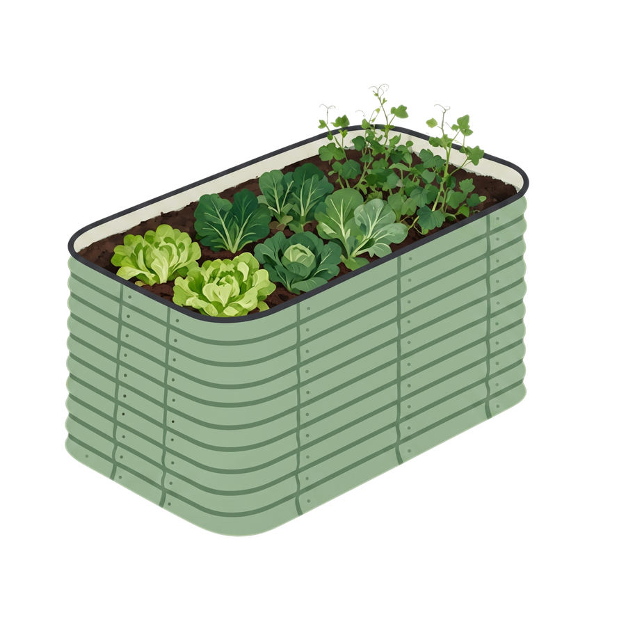 6x3