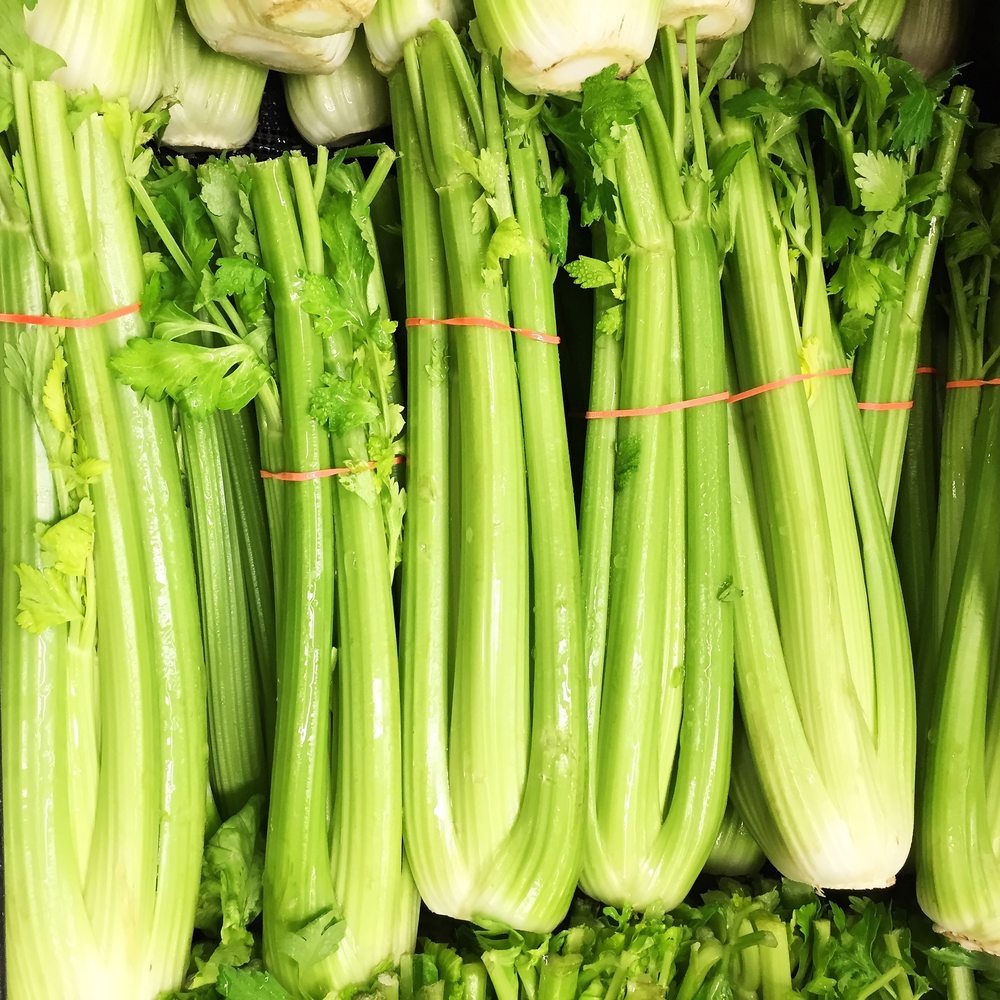 Close-up of fresh, vibrant green bunches of Merengo celery with crisp stalks bound together by pink rubber bands.