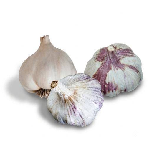 Sicilian artichoke, blossom hardneck, and nootka rose garlic bulbs on a white background