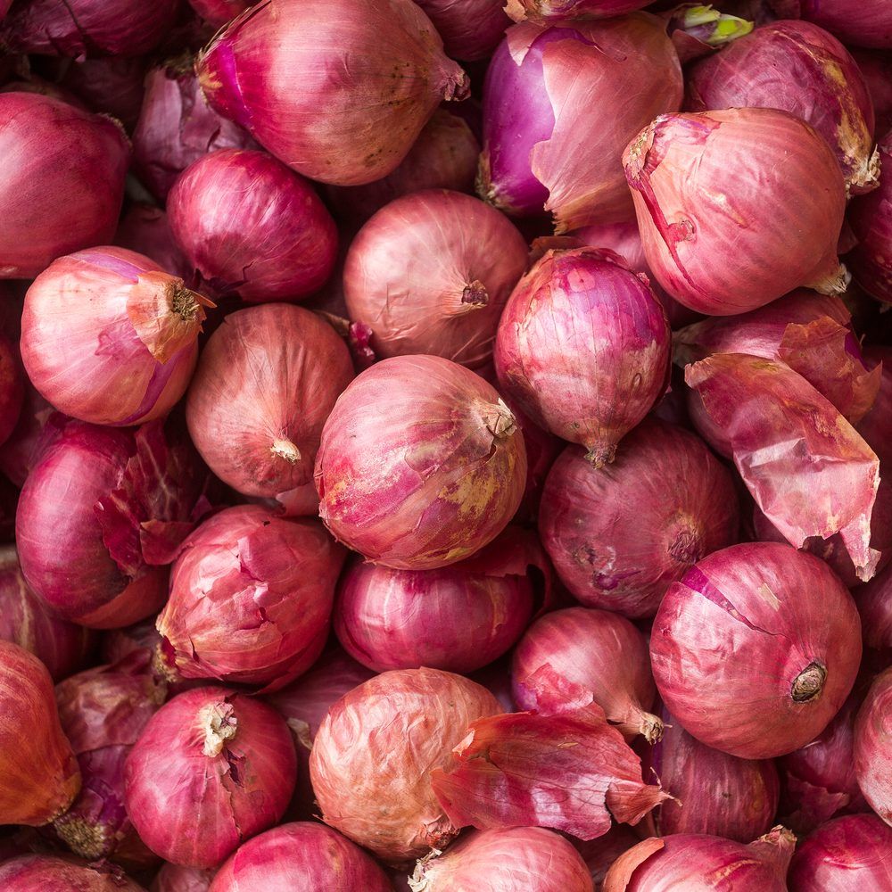 Close-up photograph of a large pile of harvested red onions with papery reddish-purple skins.