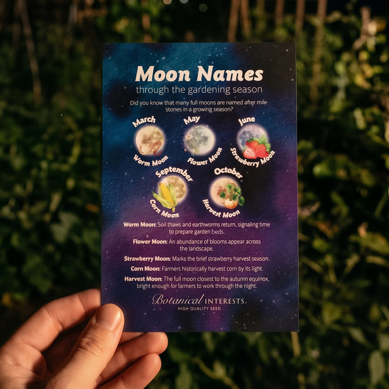 The Moon Garden Seed Bundle