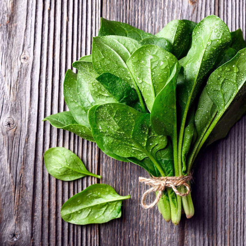 Bunch of freshly harvested spinach with glossy, water-droplet-covered leaves tied at the stem with twine, resting on a weathered grey wooden surface with two loose leaves beside it.