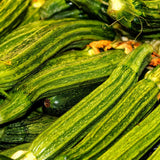 Close-up of freshly harvested Costata Romanesco zucchini, their ribbed, mottled green skin visible in a heaped pile alongside curled tendrils and a few withered blossom ends.