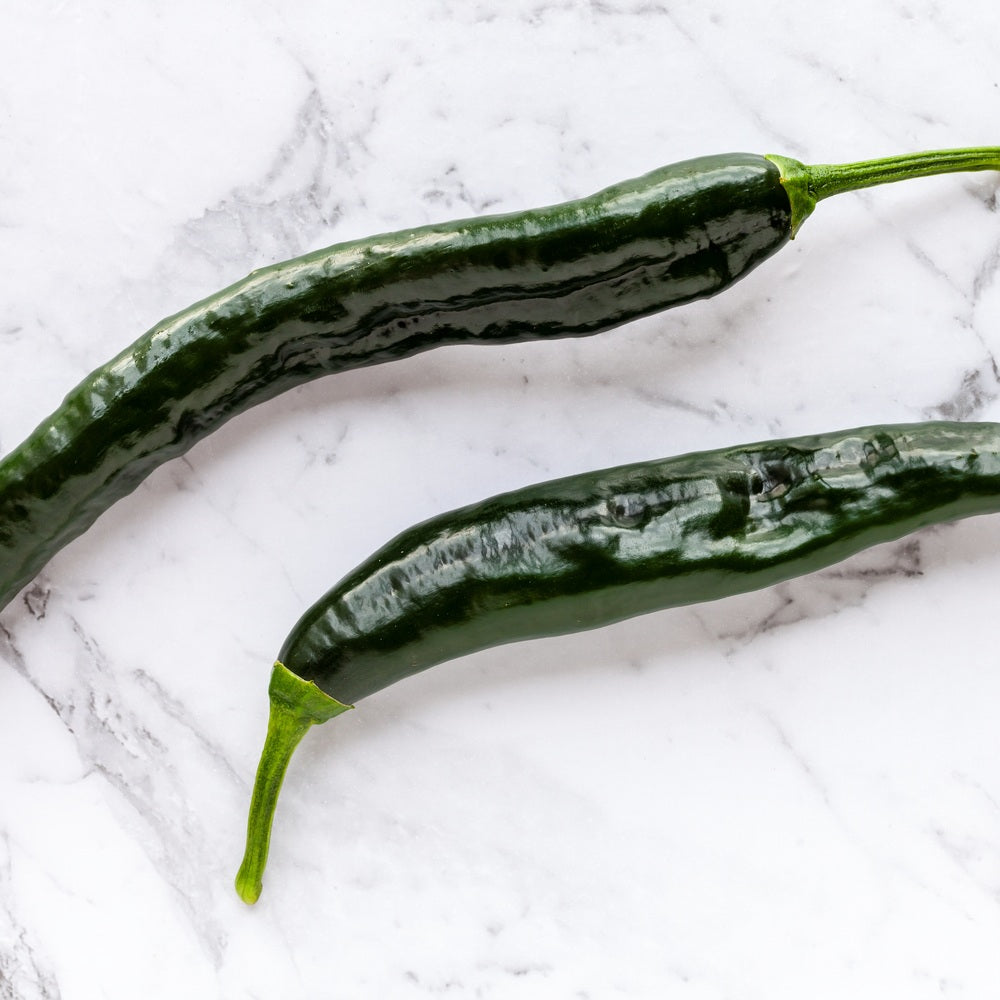 Two long, slender dark green Pasilla Bajio chile peppers with glossy, slightly wrinkled skin and curved stems, arranged on a white marble surface.