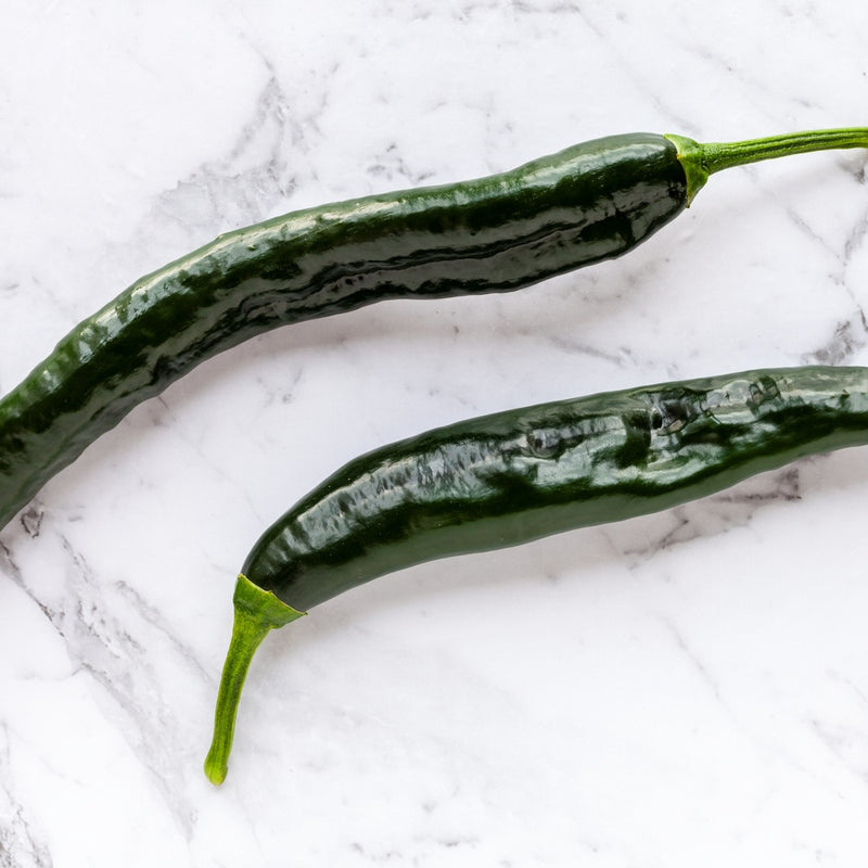Two long, slender dark green Pasilla Bajio chile peppers with glossy, slightly wrinkled skin and curved stems, arranged on a white marble surface.
