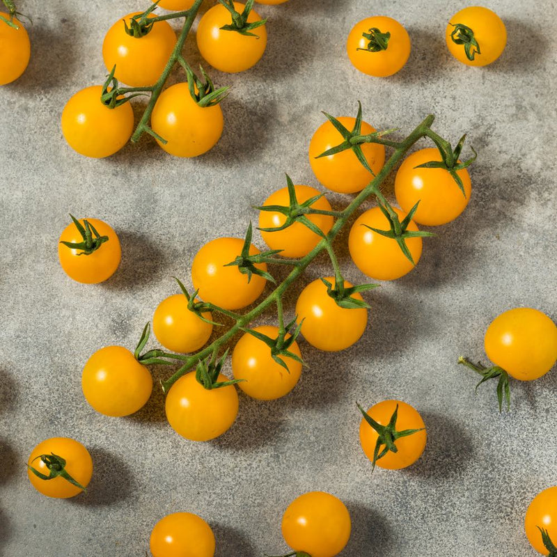 Small round yellow cherry tomatoes, glossy-skinned with green stems, some still attached to their vines and others scattered loose across a mottled grey stone surface.