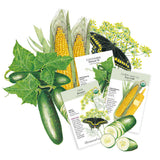 Illustration of cucumbers, corn, and butterfly with seed packets on a white background