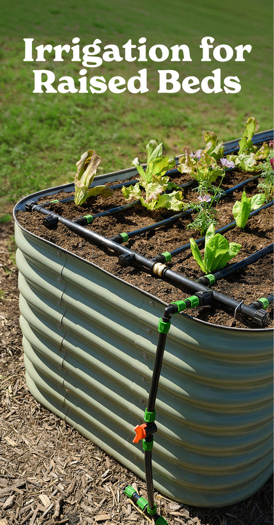 Corrugated metal raised garden bed planted with lettuce and herb seedlings, fitted with a black drip irrigation grid and green connectors leading to an orange shut-off valve, with text reading "Irrigation for Raised Beds".