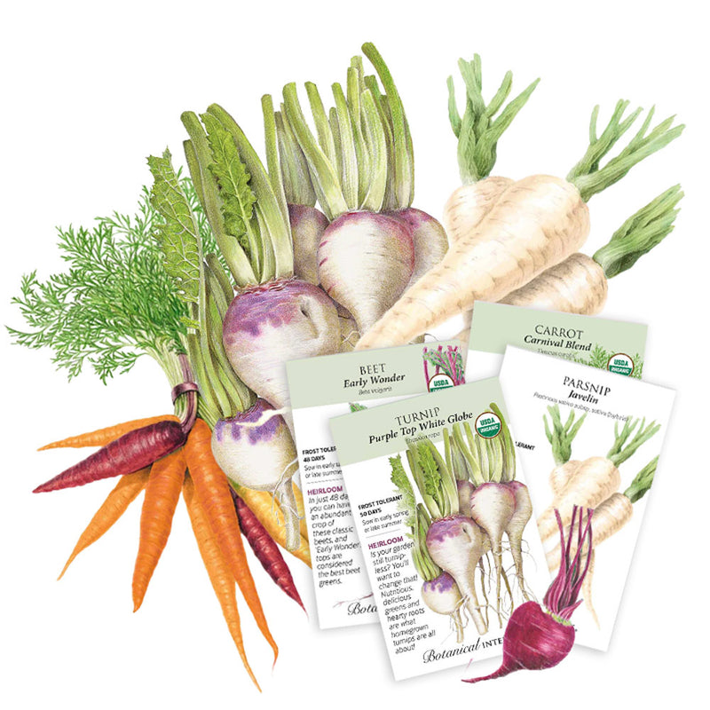 Assorted vegetables including carrots, turnips, and parsnips with seed packets on a white background