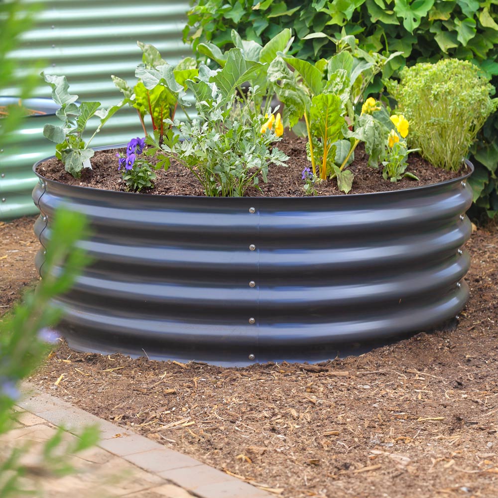 A round slate gray corrugated metal raised garden bed filled with green plants and small yellow and purple flowers, set in a garden bed with mulch and green foliage in the background.