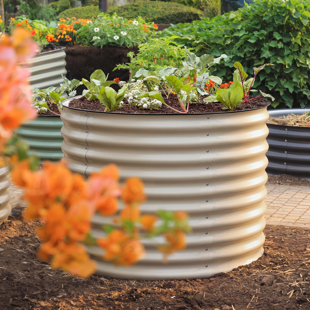 29-inch tall light clay metal raised garden bed filled with green plants and small flowers, set in a garden with mulch and other garden beds in the background.