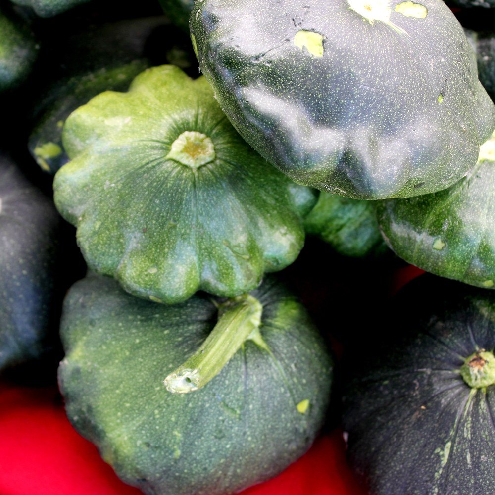 Close-up of harvested patty pan squash with scalloped edges, their dark green speckled skins mottled with lighter patches, piled together and resting on a red surface.