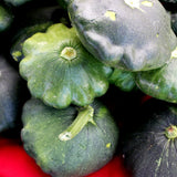 Close-up of harvested patty pan squash with scalloped edges, their dark green speckled skins mottled with lighter patches, piled together and resting on a red surface.