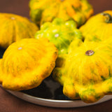 Close-up of harvested patty pan squash with scalloped, ridged edges, showing a mix of bright yellow and pale green fruits piled on a dark plate.