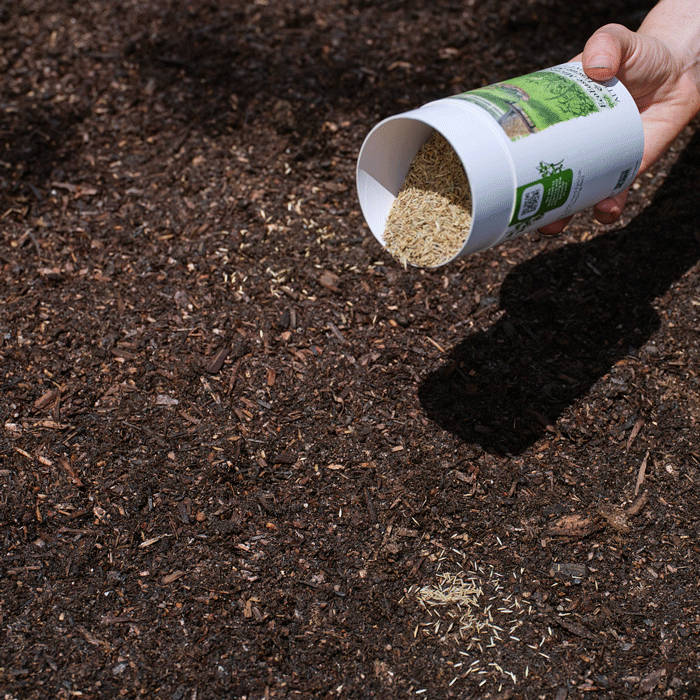 GIF of EcoEase Microclover and Fescue Mix Alternative Lawn Seeds being spread on the ground from the shaker itself