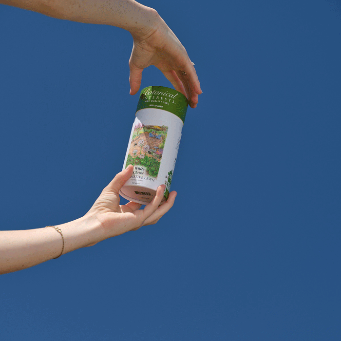 GIF of a person opening and spreading the seeds from White Clover Alternative Lawn Seed Shaker container