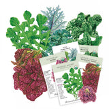 Collection of vegetable seed packets with images and names on a white background