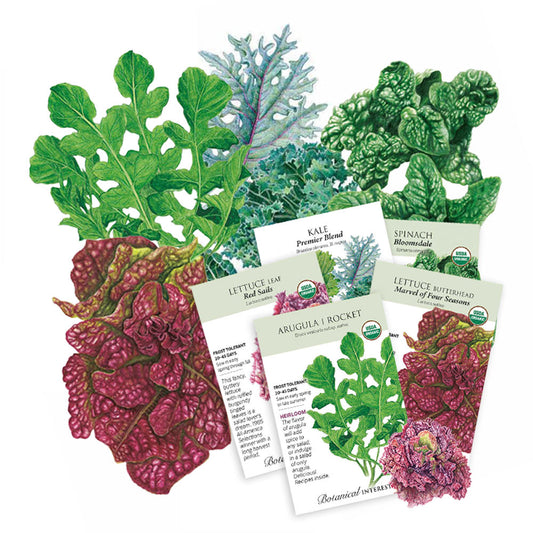 Collection of vegetable seed packets with images and names on a white background