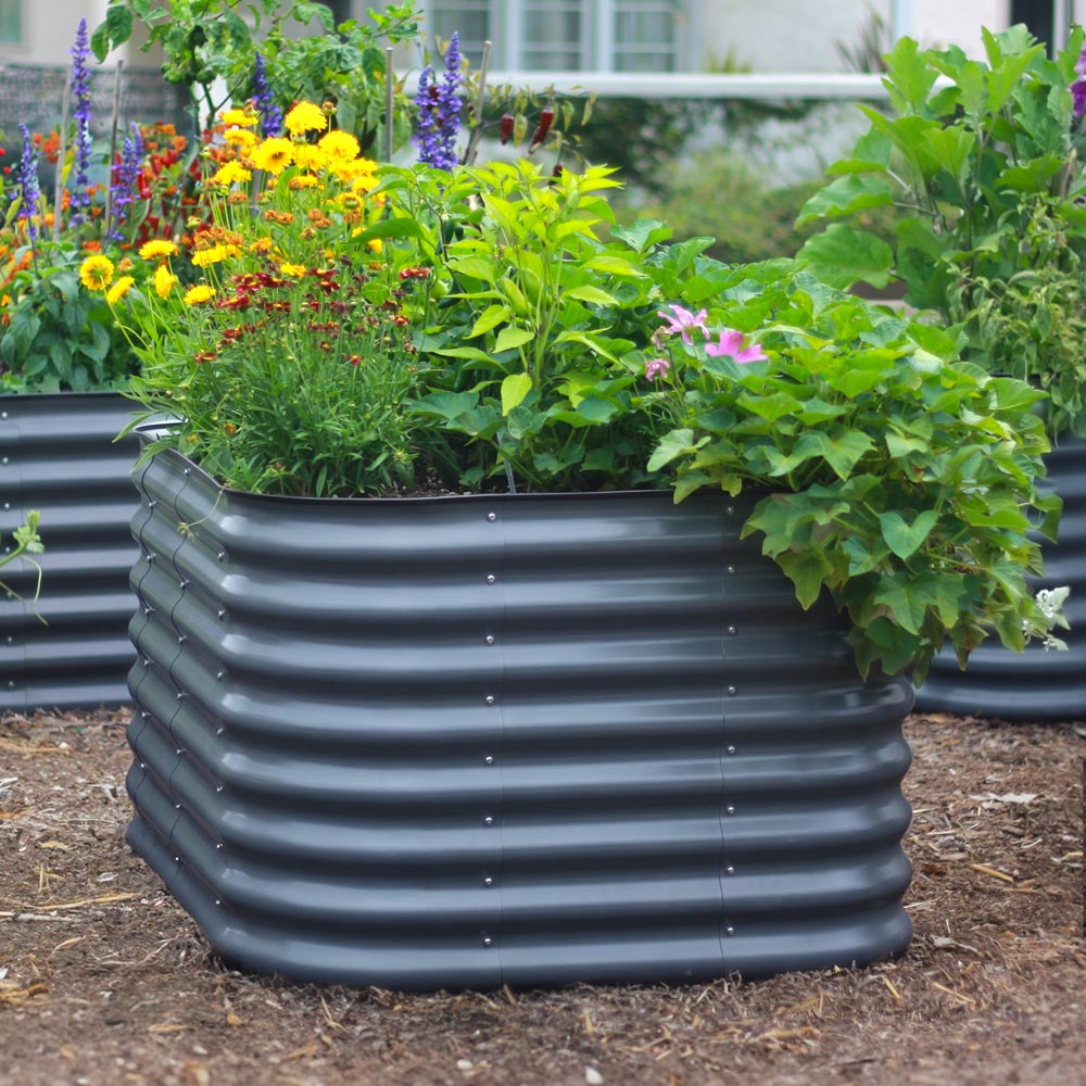 Slate gray 29-inch tall smallcorrugated raised garden bed filled with green plants and colorful flowers, shown outdoors on mulch with other garden beds in the background.