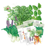 Vegetable seed packets with illustrations of vegetables on a white background