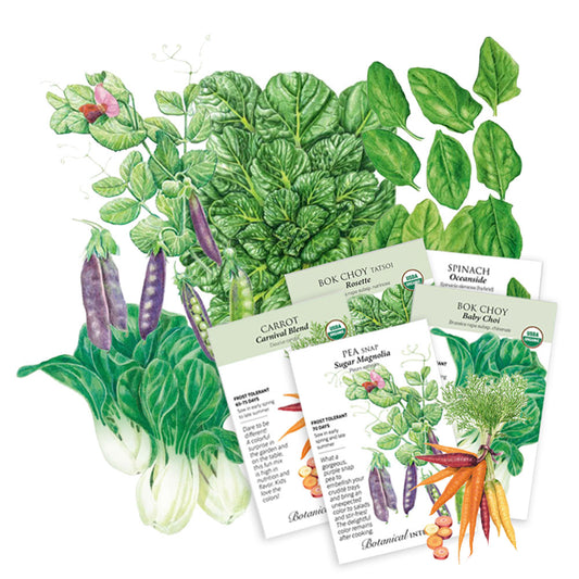 Vegetable seed packets with illustrations of vegetables on a white background