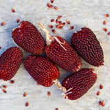 Six small, deep maroon strawberry popcorn cobs with tightly packed kernels lie scattered on a pale concrete surface, surrounded by loose individual kernels and dried husk stems.