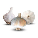 Majestic Hardneck, Romanian Red Hardneck, and Music Hardneck Garlic garlic bulbs on a white background