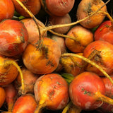 Freshly harvested Touchstone Gold beets piled closely together, their round golden-orange roots still attached to pale, wiry taproots and trimmed stems.