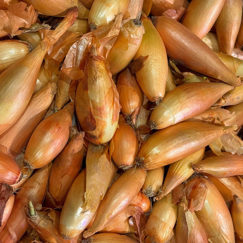 Close-up of Zebrune shallots piled together, showing their elongated torpedo shape with coppery-pink papery skins and pale gold undertones.
