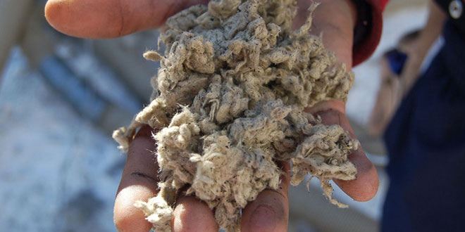 Is Rockwool Harmful Yes But Is Rockwool Harmful Yes But