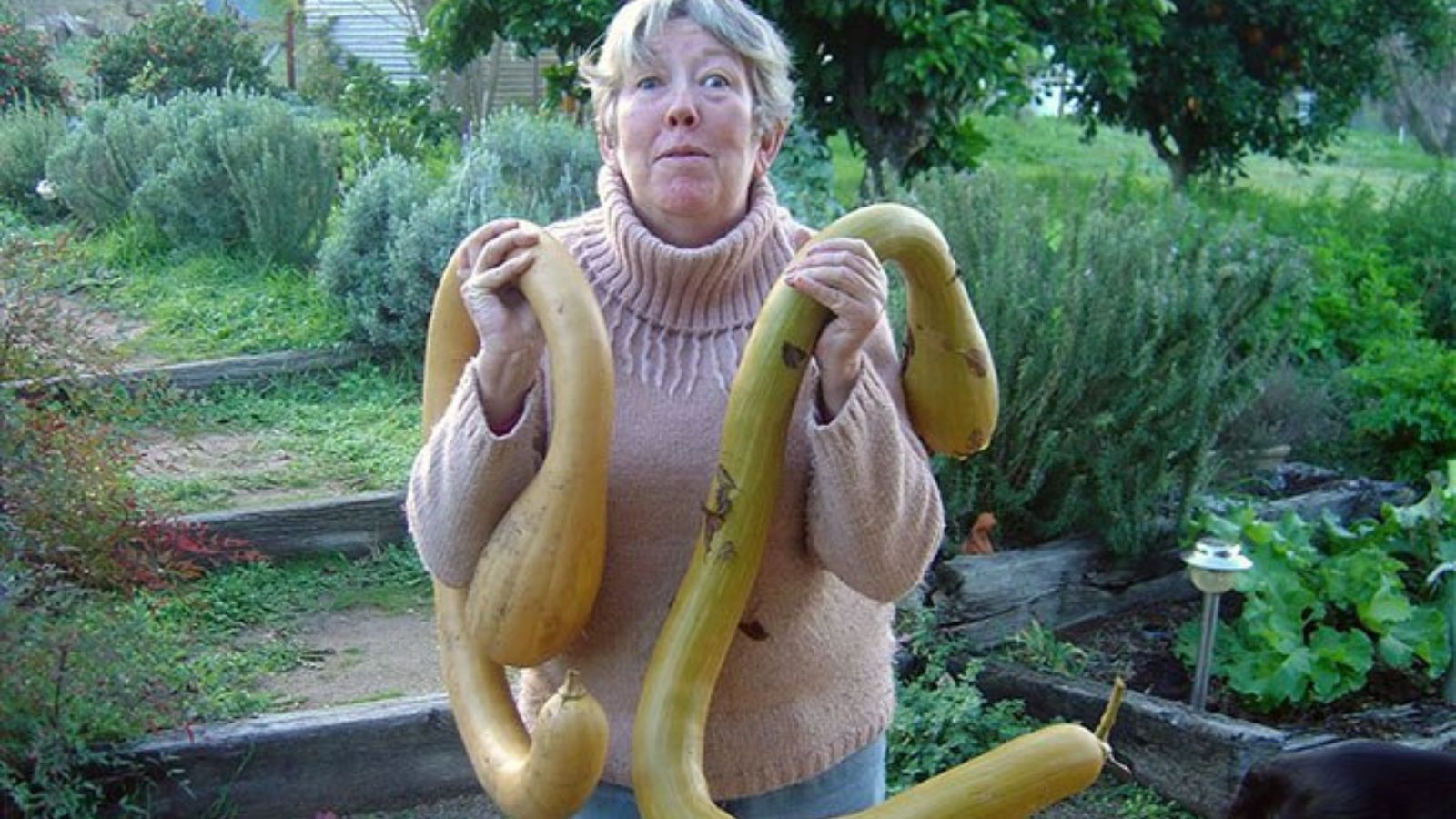 A woman holding two pieces of squash, using each bare hand to grasp the crops