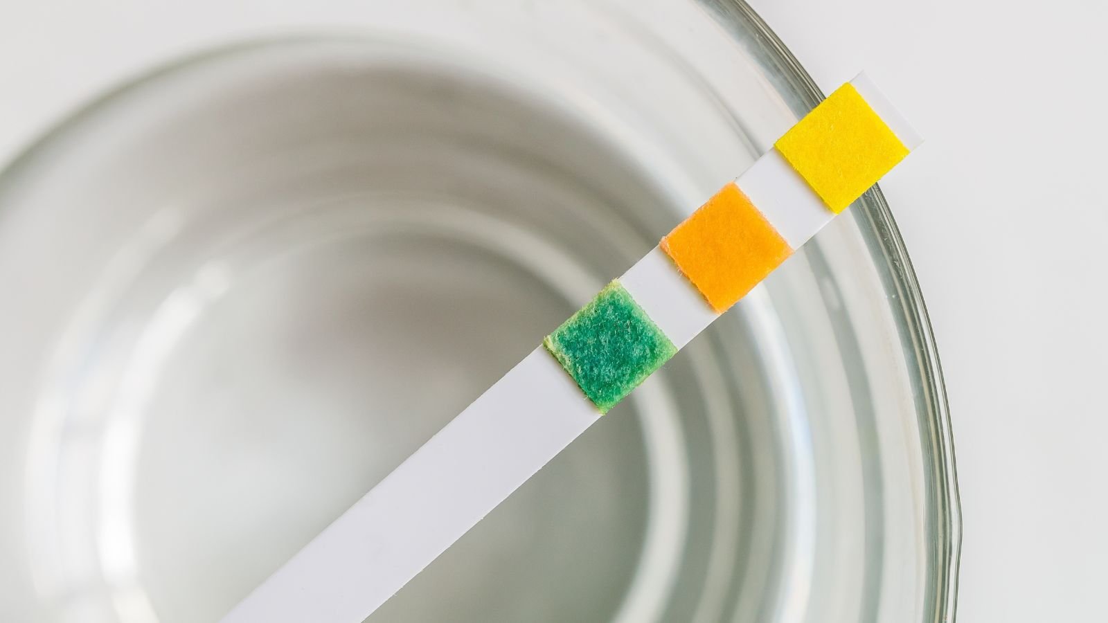 An overhead shot of a water pH test strip on top of a jar