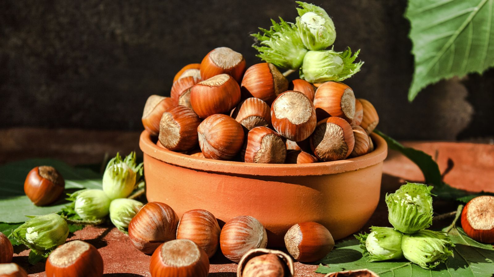 A close-up shot of a small pile of harvested Hazelnuts, all placed on a clay pot in a well lit area indoors