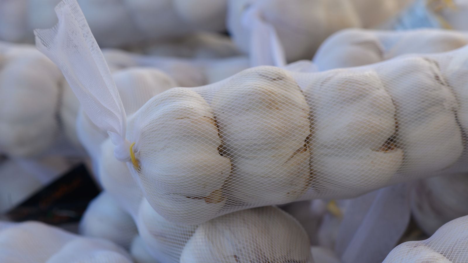 Allium sativum in produce bags appearing white with papery skin in white mesh material