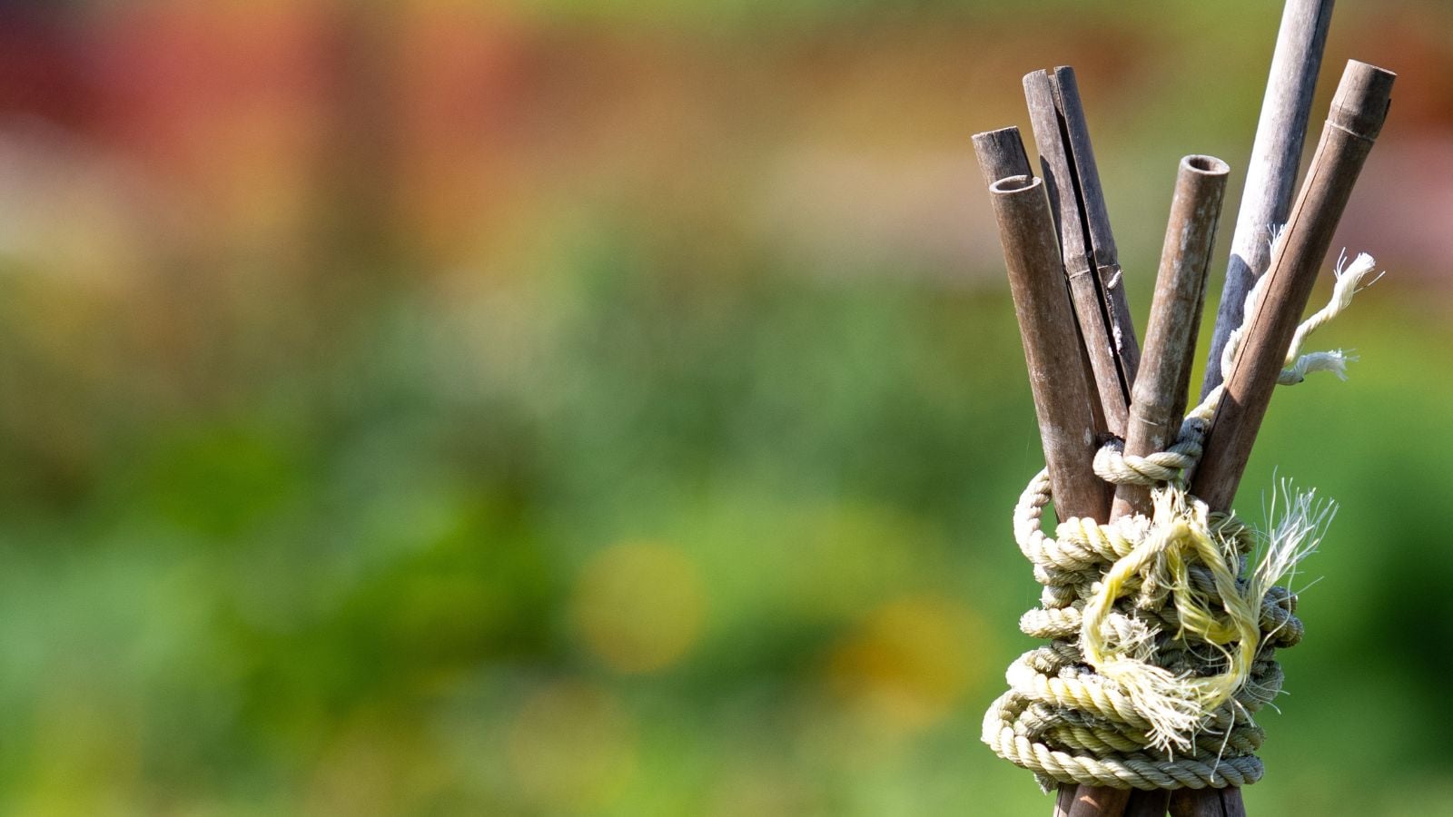 A close-up shot of a top of a bamboo framework tied together with rope and twine
