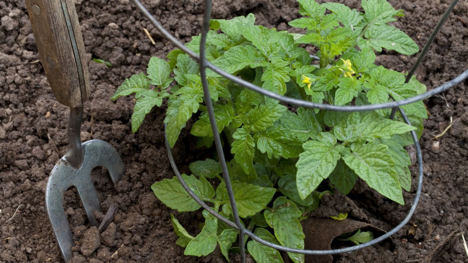 A close-up and overhead shot of a support structure made from Concrete Mesh wires