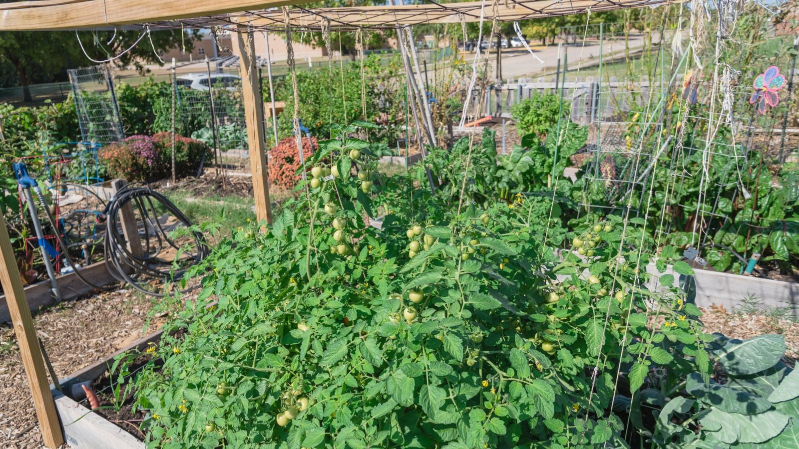 A close-up shot of  the DIY Indestructible support structure, supporting developing crop underneath