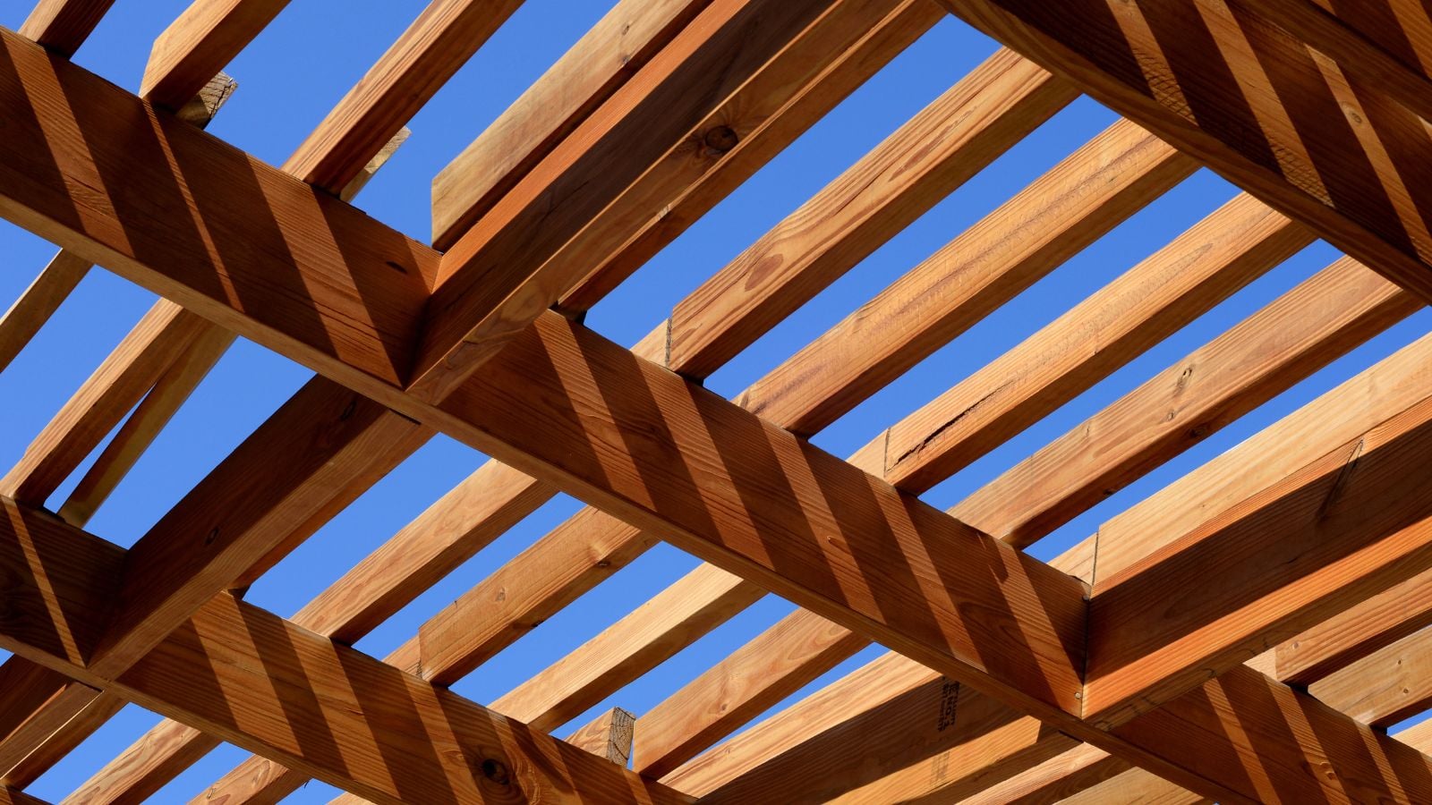 A close up shot of wood created to form Supported Slat Trellis appearing brown with a warm tone under the sunlight