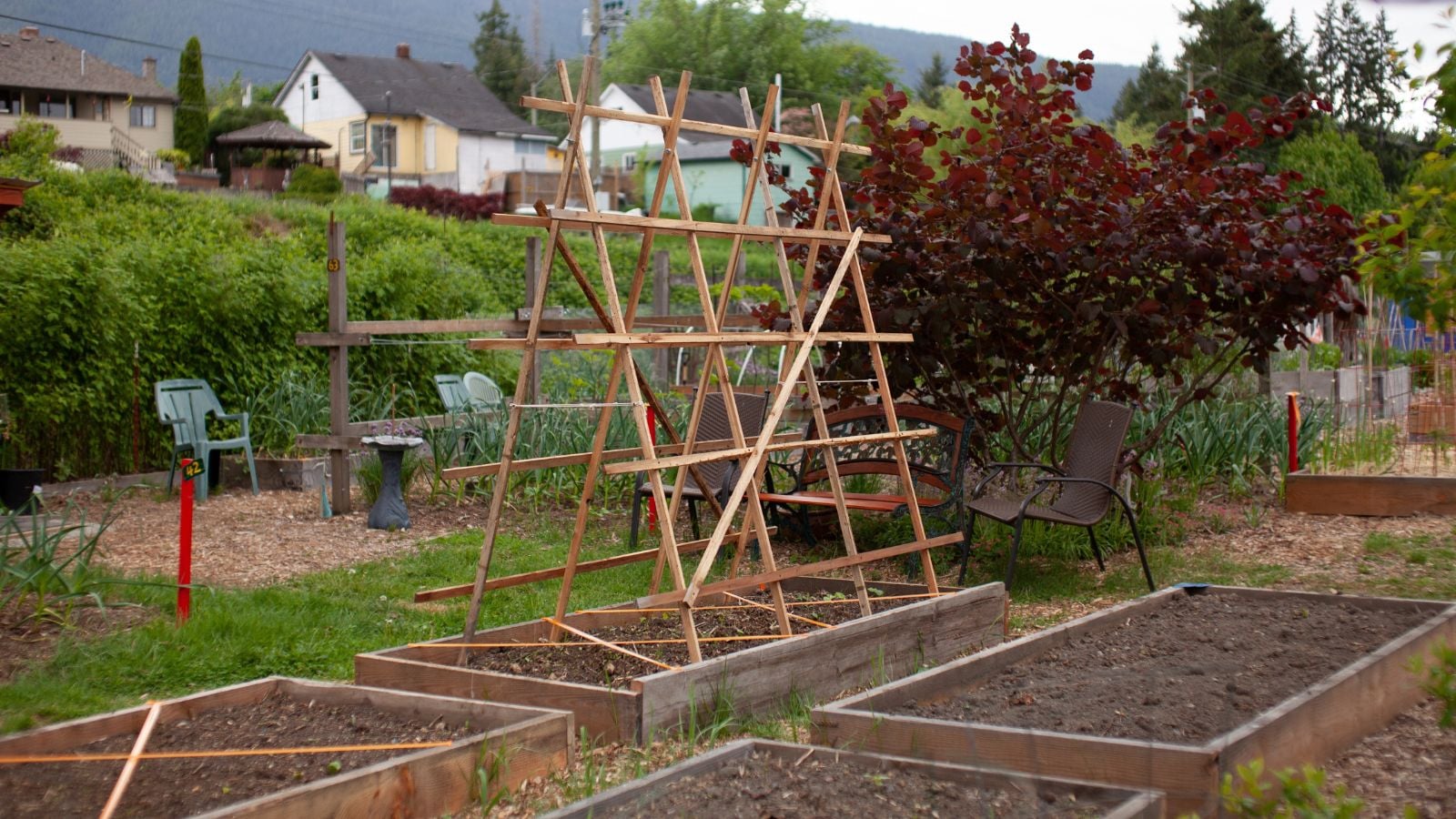 A raised bed with dark brown loam soil having a Three-Step Trellis built on top of it to hold plants up