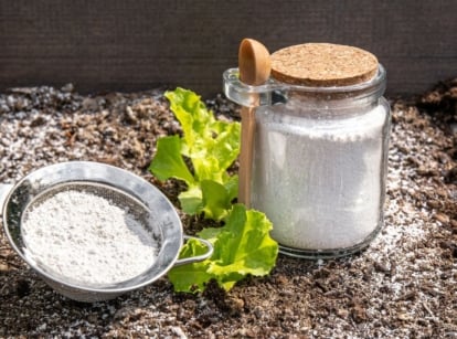 A close-up shot of a small bottle of white powder called Diatomaceous Earth, showcasing natural pest control recipes