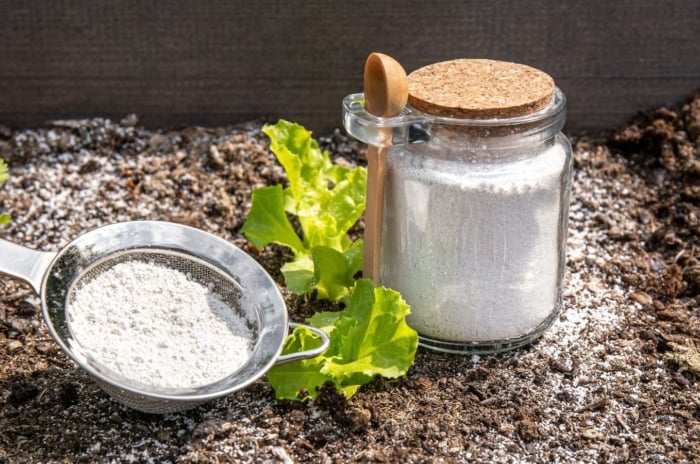 A close-up shot of a small bottle of white powder called Diatomaceous Earth, showcasing natural pest control recipes