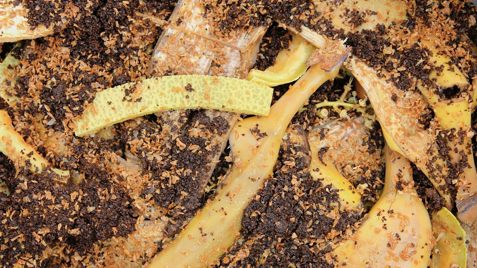 A close-up and overhead shot of a pre-compost made from bran and food scraps, placed in a well lit area
