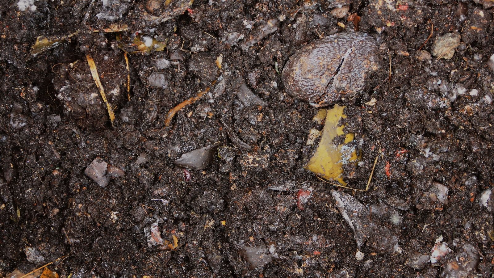 A close-up and overhead shot of a ready compost, made from food scraps and bran