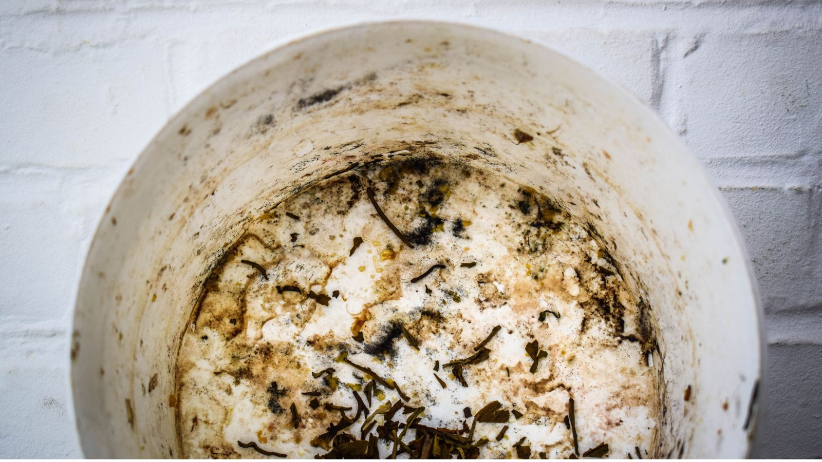 An overhead and close-up shot of a dirty and moldy white bucket