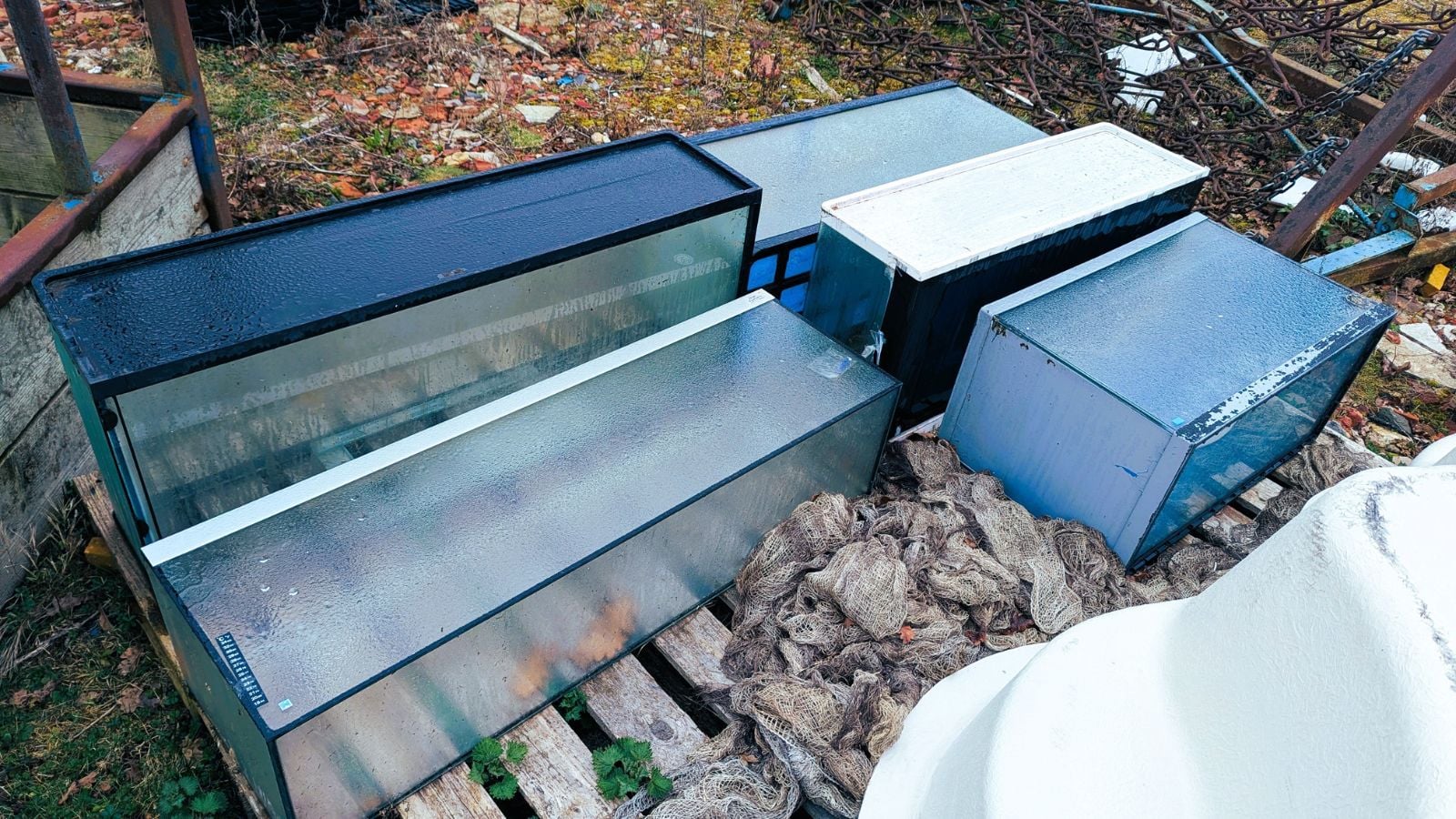 Multiple glass tanks placed on a wooden pallet appearing to have different sizes