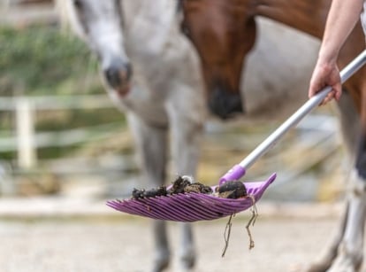 A person picking up horse manure using a scooper with two horses appearing blurry in the background