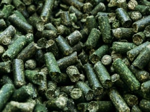 Green alfalfa pellets made from alfalfa crop.