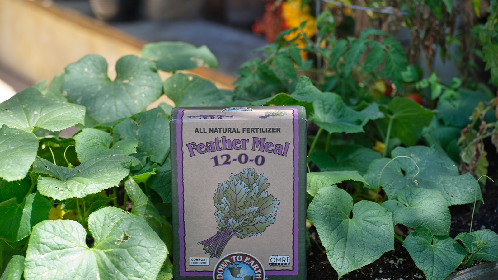 A close-up shot of a branded container of soil amendment, placed alongside developing crops
