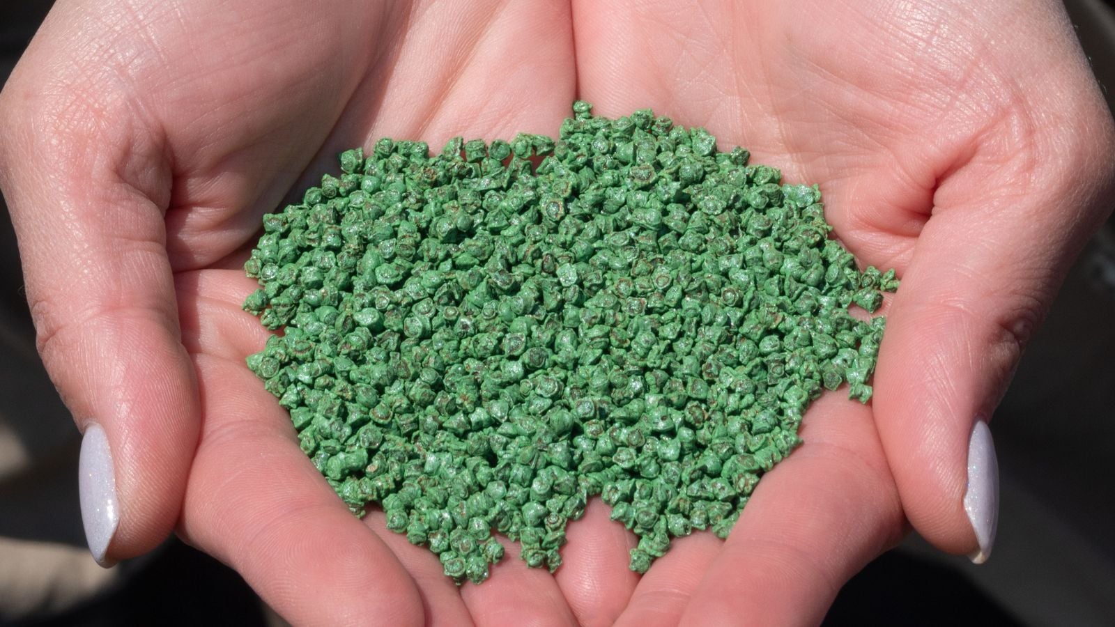 A close-up shot of a person in the process of holding a small pile of green colored soil amendment in a well lit area